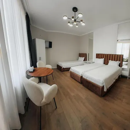 Pensiunea Brici 3*