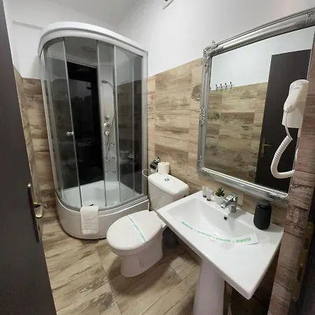 Pensiunea Brici Maison d'hôtes Cluj-Napoca